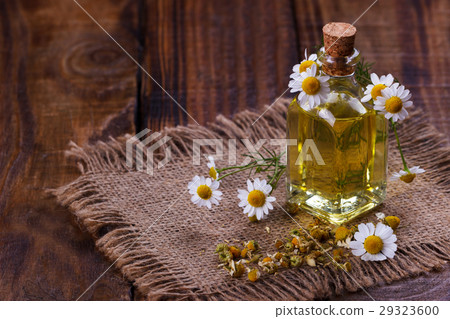 Chamomile oil aromatherapy Chamomile oil aromatherapy 29323600