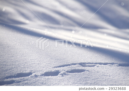 雪景,背景材料,雪花圖案,動物的足跡,冬日景觀,紋理 雪景,背景材料,雪花圖案,動物的足跡,冬日景觀,紋理 29323688