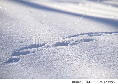 雪景,背景材料,雪花圖案,動物的足跡,冬日景觀,紋理 雪景,背景材料,雪花圖案,動物的足跡,冬日景觀,紋理 29323690