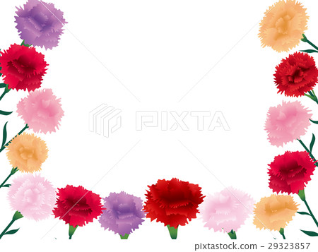 Carnation frame - Stock Illustration [29323857] - PIXTA