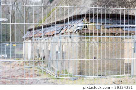 Broken roof of an abandoned farm, selective focus Broken roof of an abandoned farm, selective focus 29324351