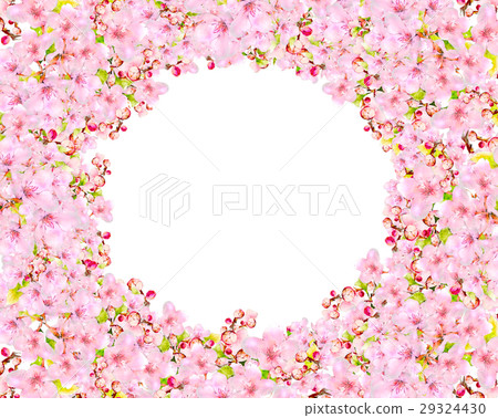cherry blossom frame cherry blossom frame 29324430