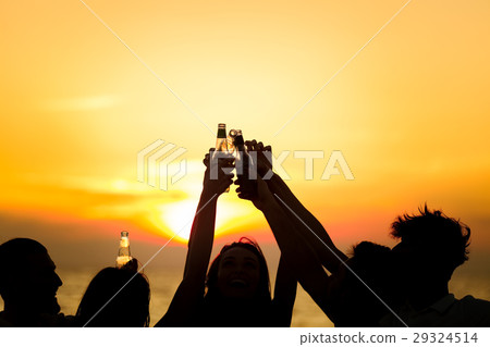 Friends Beach Party Drinks Toast Celebration Friends Beach Party Drinks Toast Celebration 29324514