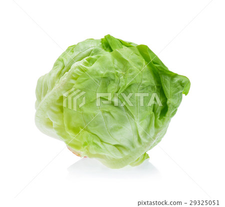 butterhead lettuce isolated on white background 29325051