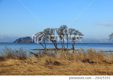 冬天在北湖 29325355