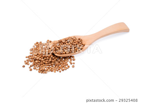 Coriander seeds isolated on white background. 29325408
