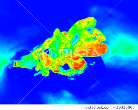 Infrared scan of leaf in river. Oak lea in stream Infrared scan of leaf in river. Oak lea in stream 29326003