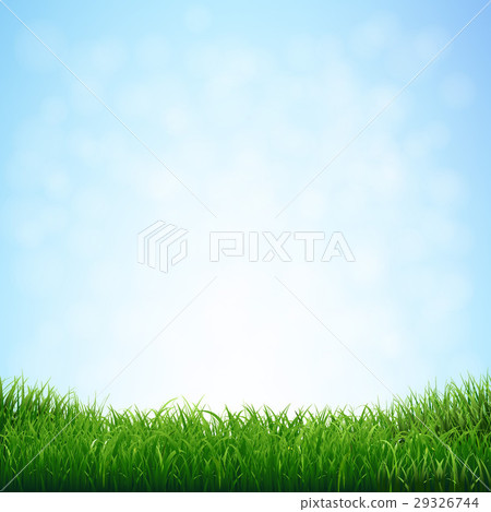 Grass With Blue Sky Grass With Blue Sky 29326744