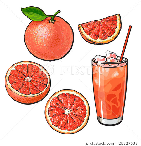 Whole, half, quarter grapefruit and glass of juice 29327535