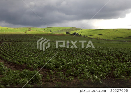 Beautiful landscape in Ifrane Beautiful landscape in Ifrane 29327696