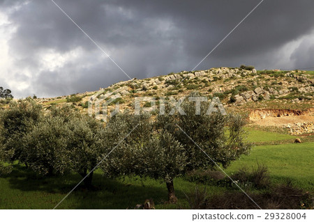 Beautiful landscape in Ifrane Beautiful landscape in Ifrane 29328004