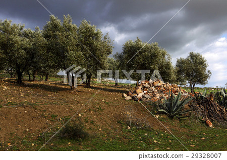 Beautiful landscape in Ifrane Beautiful landscape in Ifrane 29328007