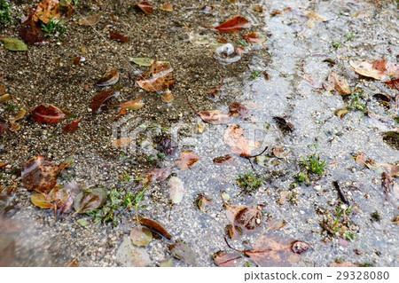 下雨天：“雨下”大阪府枚方市 29328080