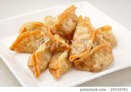 fried gyoza fried gyoza 29328761