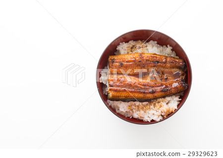 鰻魚弓白背 鰻魚弓白背 29329623