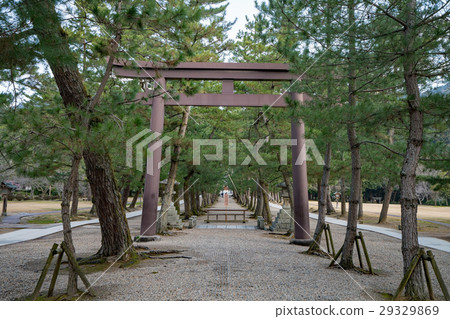 Izumo Taisha 29329869