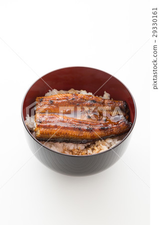 鰻魚弓白背 29330161