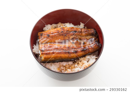 鰻魚弓白背 29330162