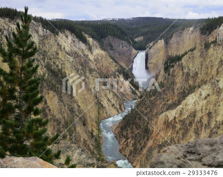 Yellowstone Canyon Waterfall Yellowstone Canyon Waterfall 29333476