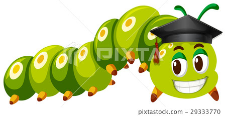 Green caterpillar wearing graduation cap Green caterpillar wearing graduation cap 29333770