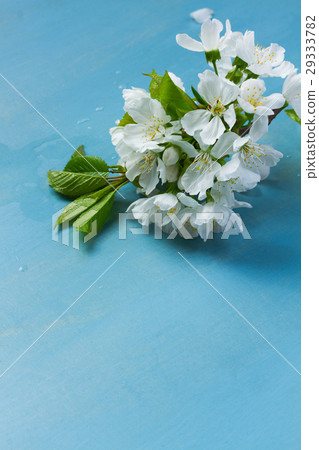 fresh spring flowers on blue 29333782