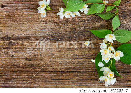 Jasmine flowers on wooden table Jasmine flowers on wooden table 29333847
