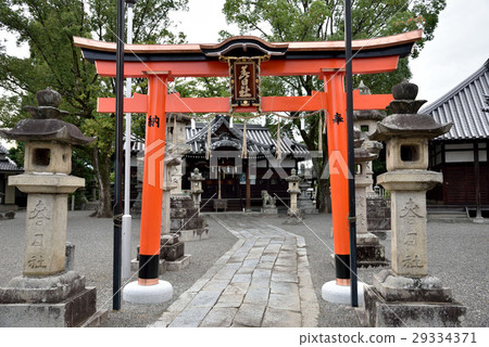 Imai Town Kasuga Shrine Imai Town Kasuga Shrine 29334371