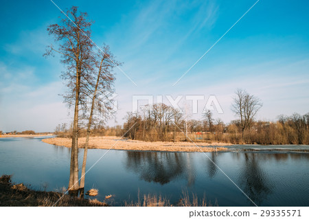 Spring Nature. Trees Woods Standing In Water Spring Nature. Trees Woods Standing In Water 29335571