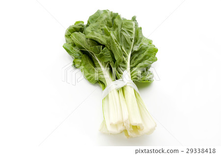 Ordinary Ordinary 29338418