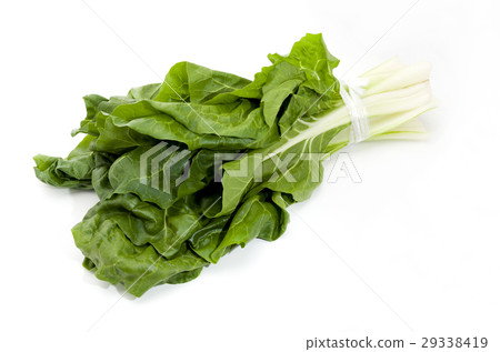 Ordinary Ordinary 29338419