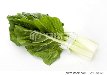 Ordinary Ordinary 29338420