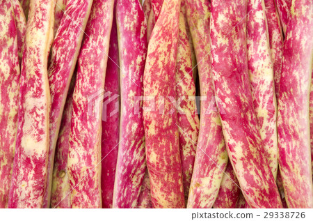 Quail beans 29338726