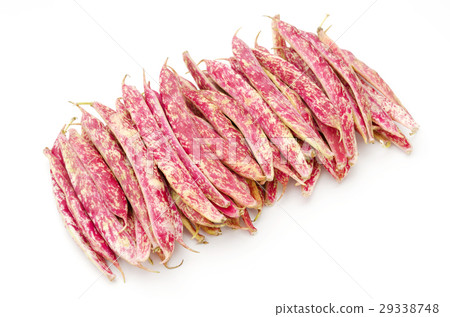 Quail beans 29338748