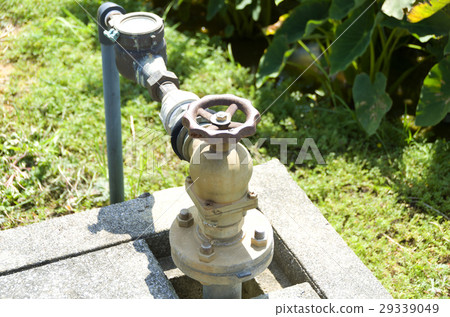 稻田閥門 29339049