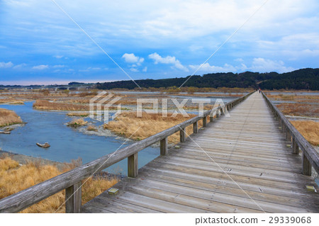 The longest wooden pedestrian overpass in the world, Horai Bridge The longest wooden pedestrian overpass in the world, Horai Bridge 29339068