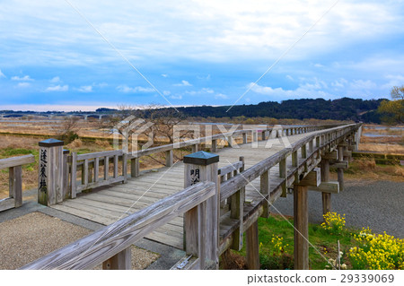 世界上最長的木製人行天橋，Horai Bridge 29339069
