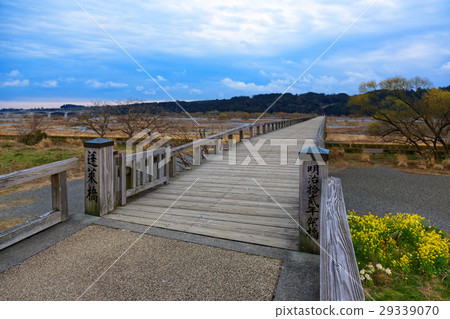 世界上最長的木製人行天橋,Horai Bridge 世界上最長的木製人行天橋,Horai Bridge 29339070
