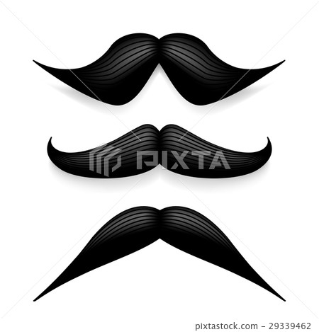 Mustache isolated on white. Black vector vintage 29339462