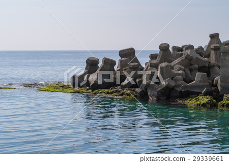 Kaiyo wave block (Chubu) 29339661