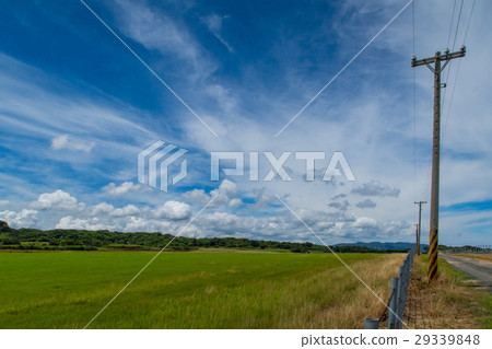 Grassland poles with blue sky and white clouds 29339848