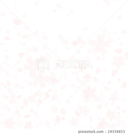 Cherry Blossoms   29339853