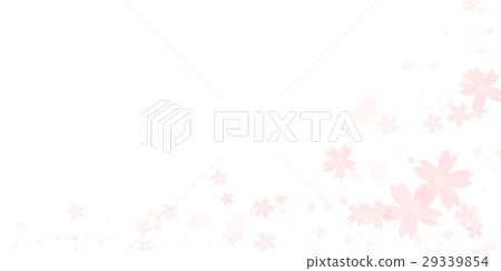 Cherry Blossoms Cherry Blossoms 29339854