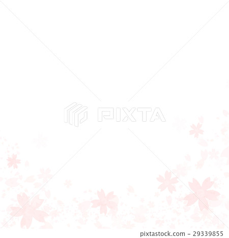 Cherry Blossoms Cherry Blossoms 29339855