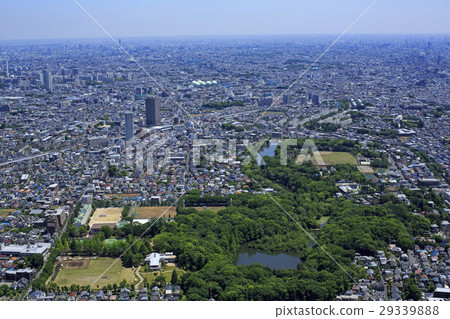 Shakujii公園架空/航拍照片 29339888