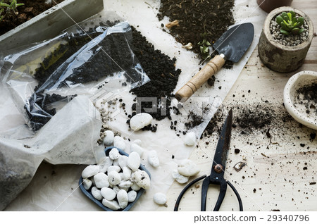 Planting Plants Cactuses Soil Stones On A Wooden Table Planting Plants Cactuses Soil Stones On A Wooden Table 29340796