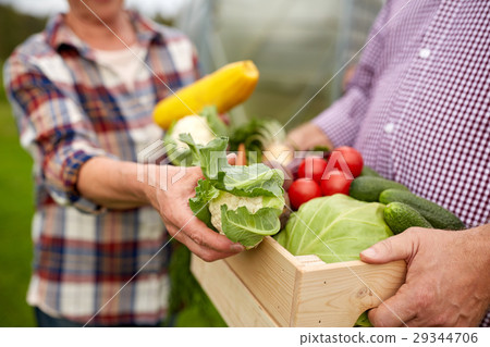 senior couple with box of vegetables on farm 29344706