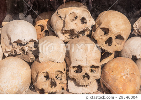 Pile of human skulls. 29346004