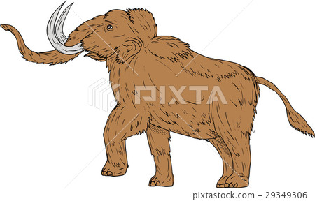 Woolly Mammoth Prancing Drawing 29349306