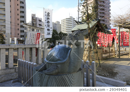 葛飾區香取神社Komeko 葛飾區香取神社Komeko 29349401