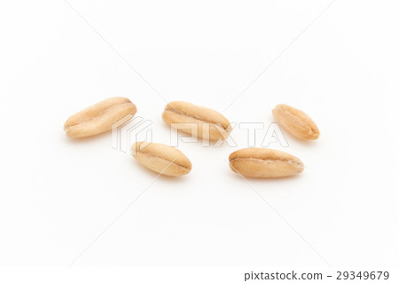 Auto Groats (Hall Oats): Whole oats 29349679